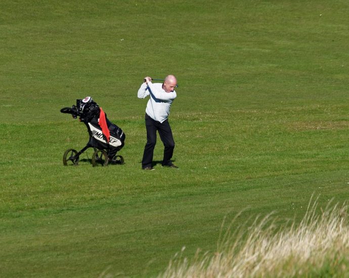 Chariot de golf électrique